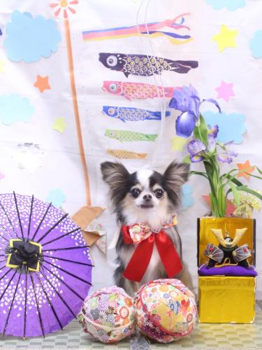 20240522ひめちゃん